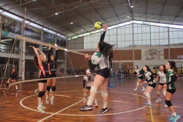 Festival revela talentos e integra atletas do continente