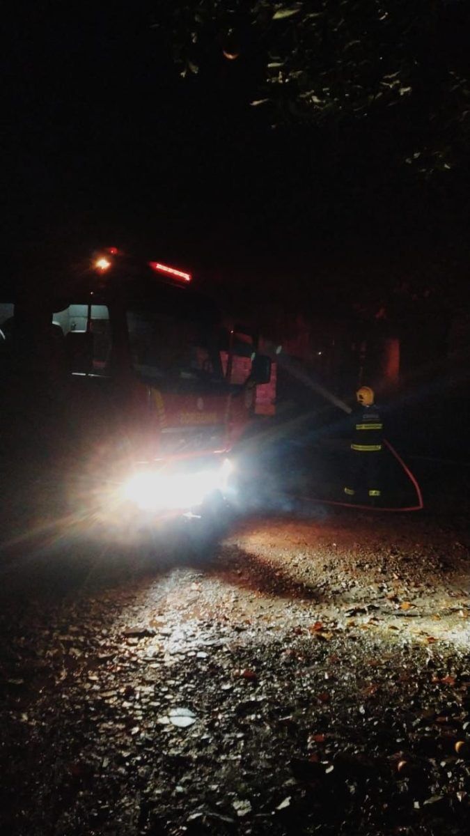 Incêndio consome aviário em Relvado