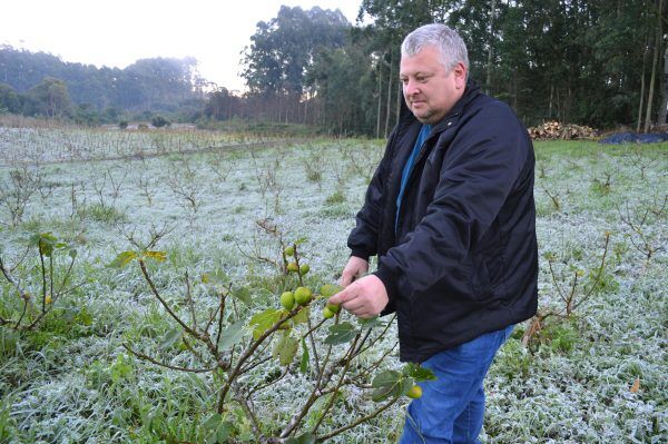 Meteorologia indica inverno equilibrado para o campo