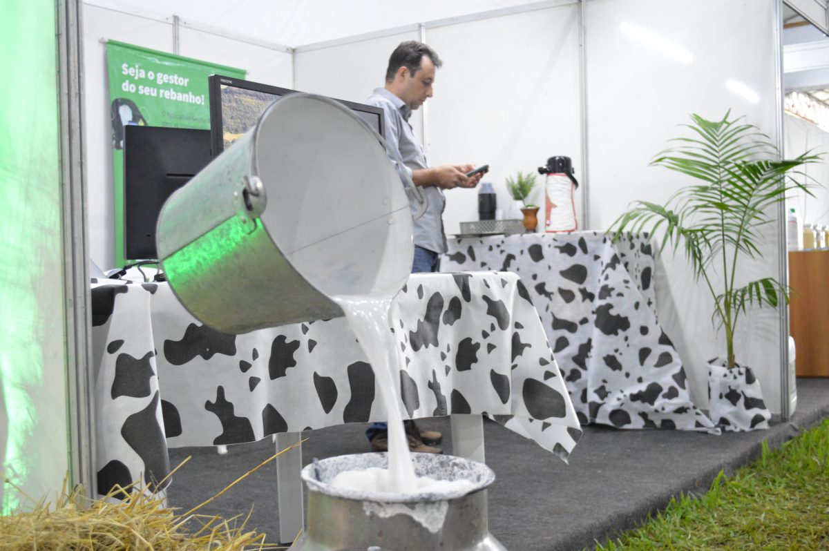 Inovação e tecnologia ampliam produtividade no setor leiteiro