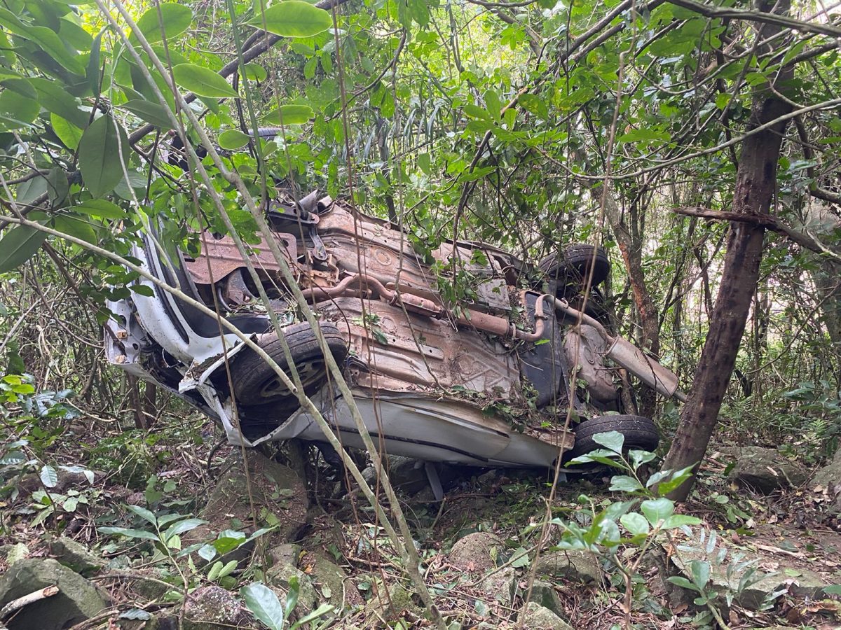 Carro capota na ERS-129 em Encantado