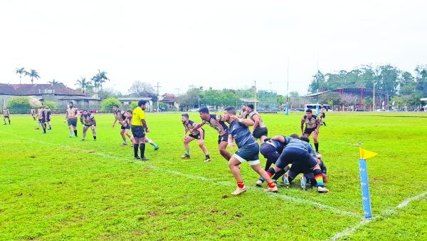 Centauros volta ao campo no domingo