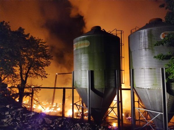 Incêndio em aviário provoca morte de 10,2 mil aves em Nova Bréscia