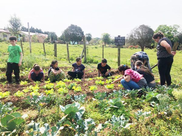 Projeto estimula alimentação saudável para crianças
