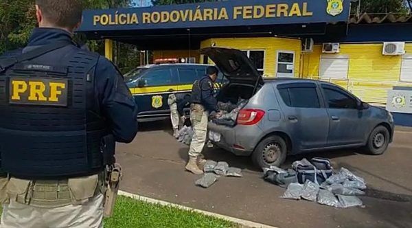 PRF apreende em Lajeado maior quantidade de skunk da história do Rio Grande do Sul