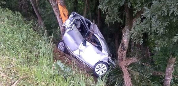 Homem morre ao colidir contra árvores em Estrela