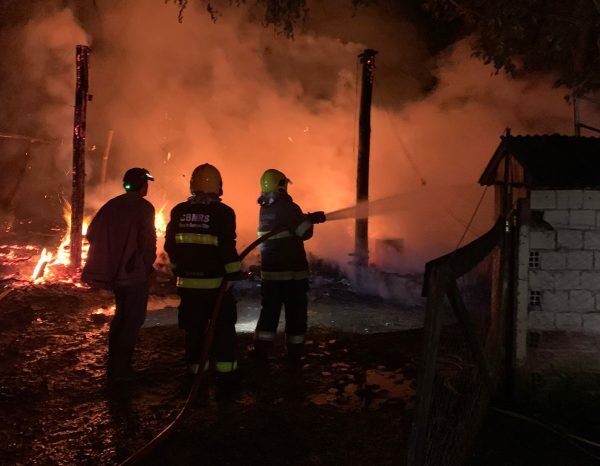 Incêndio destrói aviário em Relvado