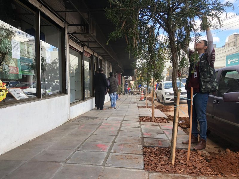 Lajeado inicia plantio de árvores na Rua Bento Gonçalves