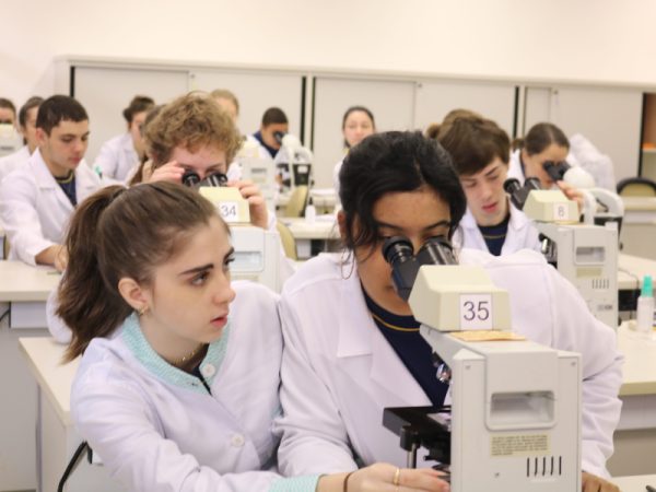 Estudantes preparados para escolhas profissionais