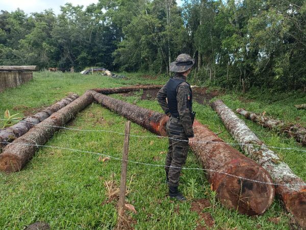 Homem é autuado por desmatamento em Forquetinha