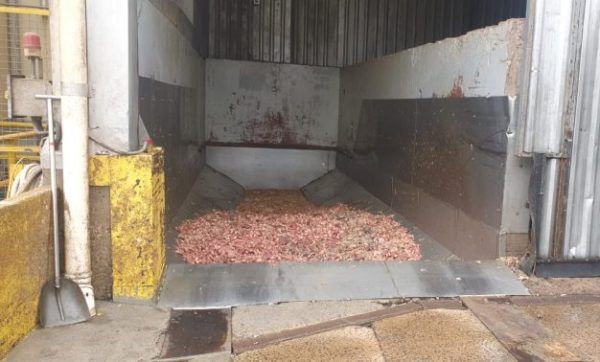 Polícia investiga morte em frigorífico
