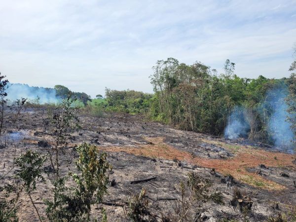 Incêndio atinge área de 30 mil m² no interior de Estrela
