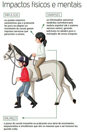 Linda Carta do Cavalo ao Praticante de Equoterapia – Equoideias®