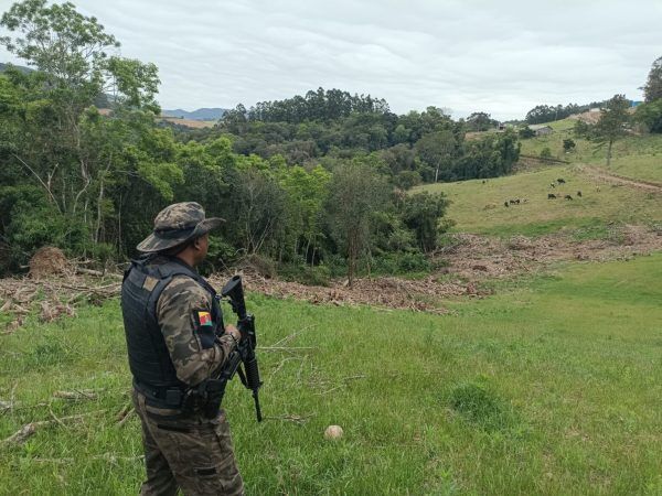 Homem é notificado por desmatamento no interior de Relvado