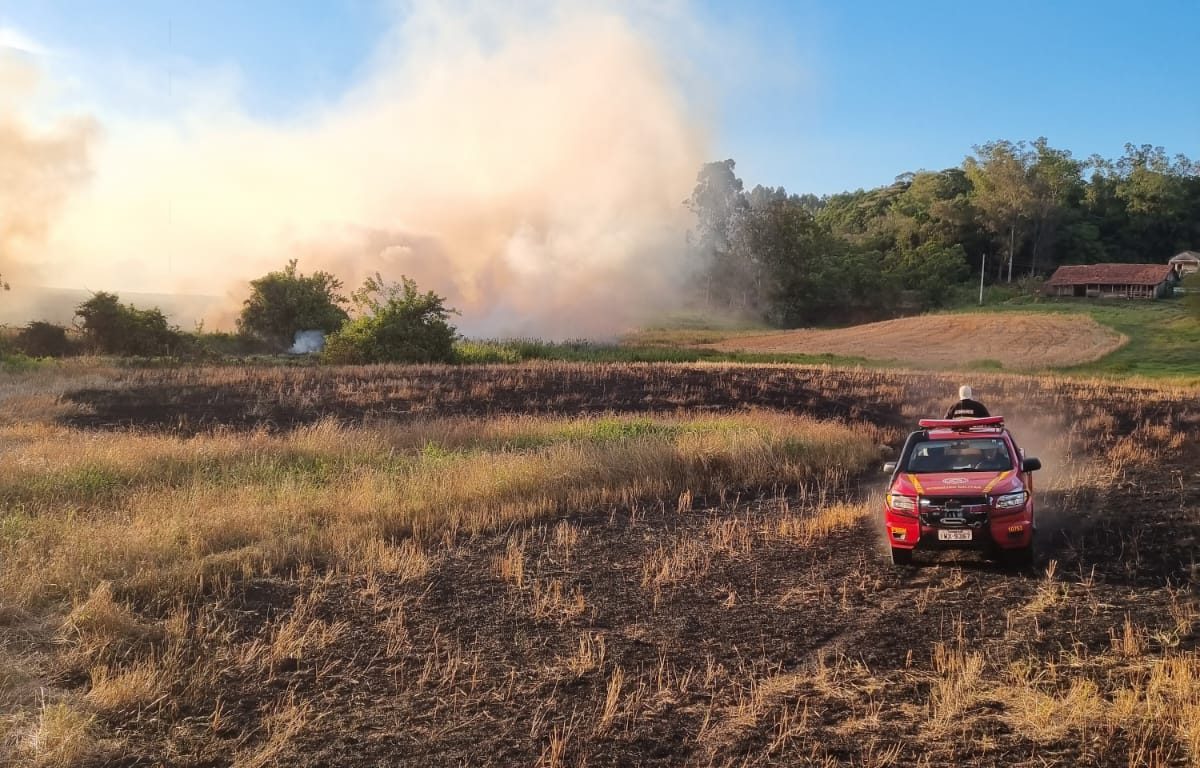 Bombeiros alertam para aumento nos casos de incêndios em vegetação
