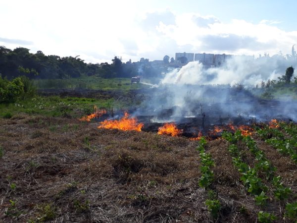 Incêndio atinge 20 hectares de vegetação em Lajeado