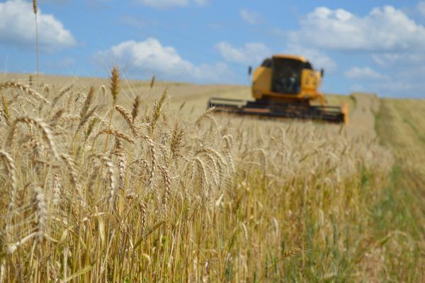 Projeções do agronegócio elevam confiança aos rumos da economia