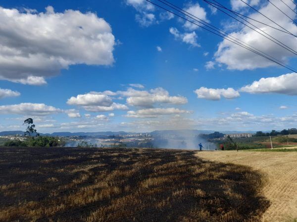 Incêndio atinge vegetação em Lajeado