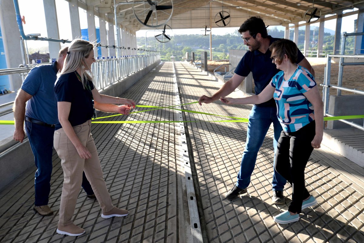 Nova estrutura moderniza área de alojamento de gado leiteiro