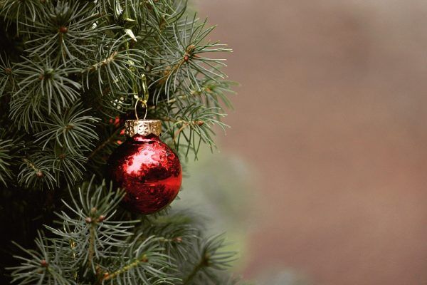 VÍDEO: Árvore de Natal é furtada em Forquetinha 