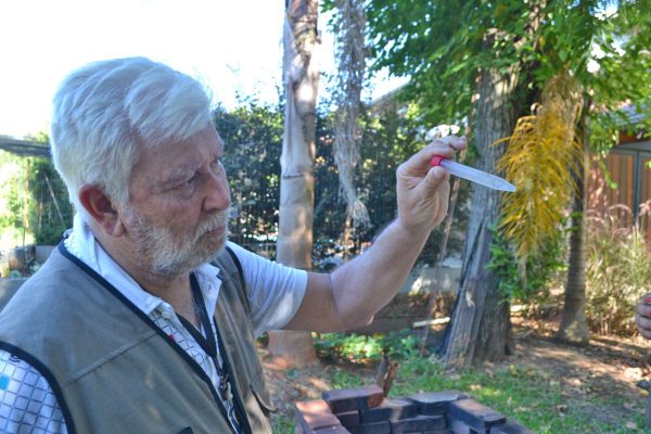 Municípios ampliam cuidados contra o  mosquito da dengue