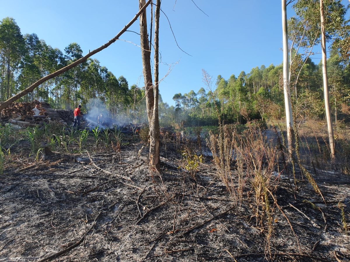 Incêndio atinge área de vegetação em Paverama