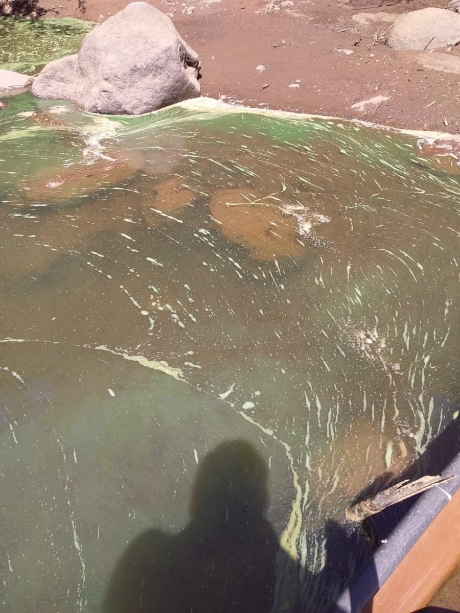 Surgimento de espuma às margens do Taquari preocupa pescadores