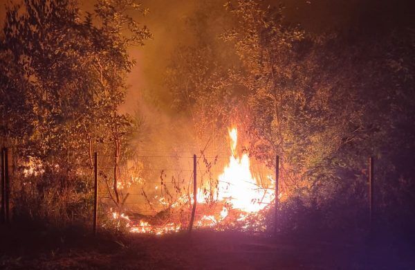 Incêndio atinge cerca de 20 mil metros quadrados de vegetação em Bom Retiro do Sul