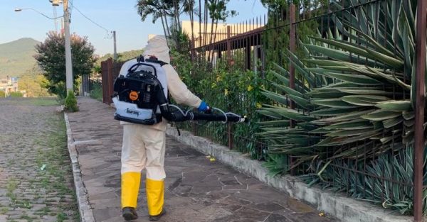 Mais de 100 casos de dengue em menos de um mês