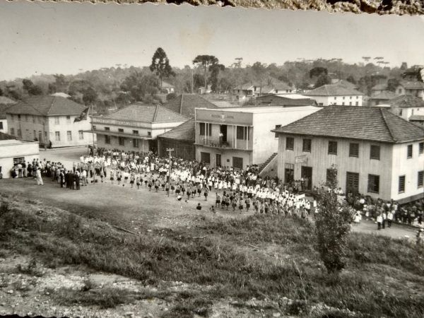 64 anos de Arvorezinha