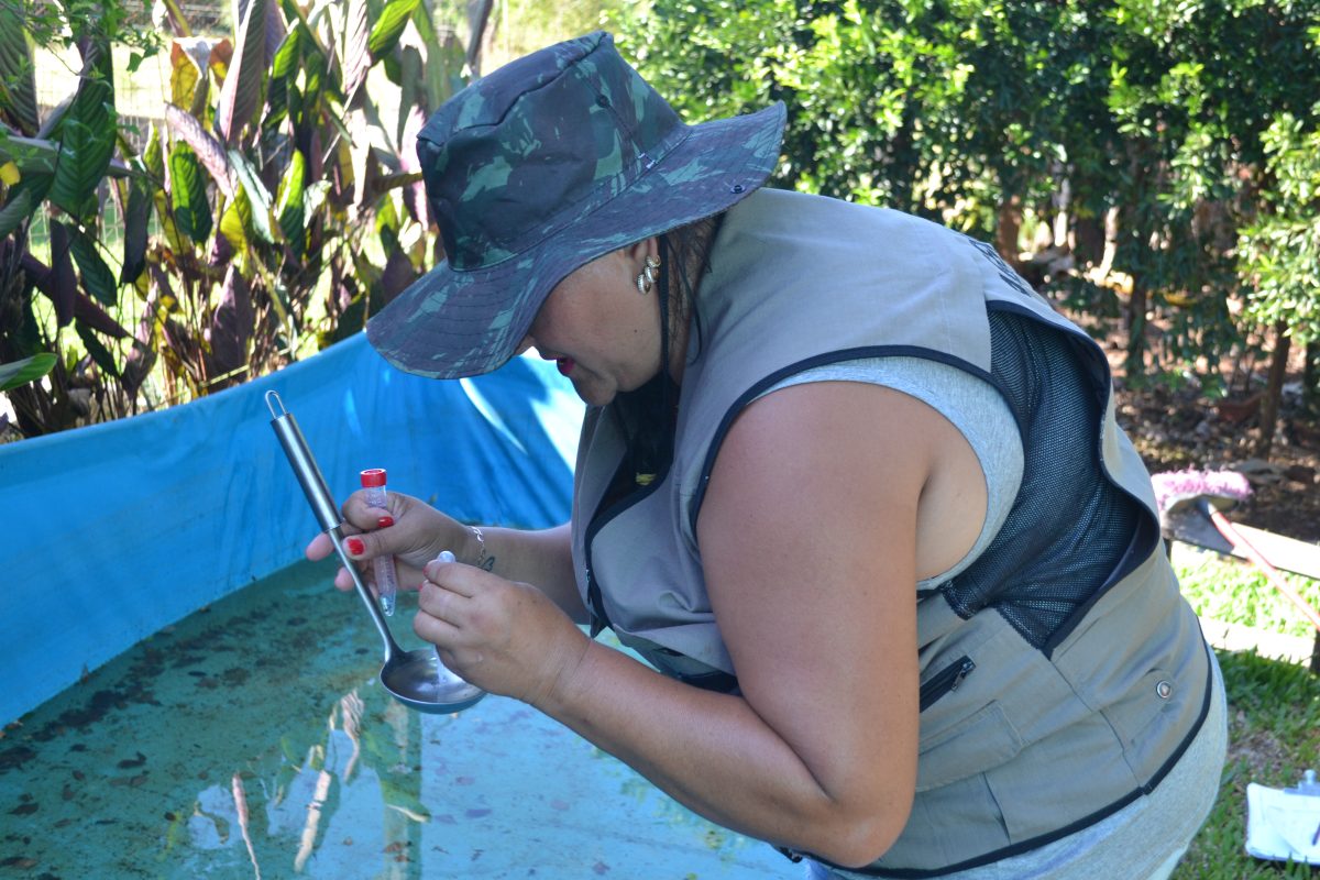 Município confirma primeiros casos de dengue e reforça combate