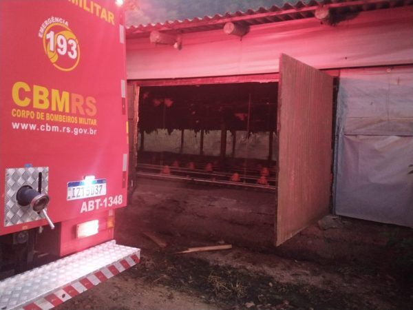 Incêndio atinge aviário em Venâncio Aires