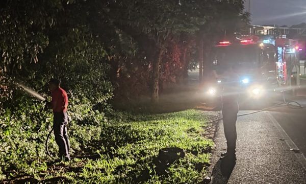 Incêndio atinge vegetação às margens da BR-386 em Lajeado