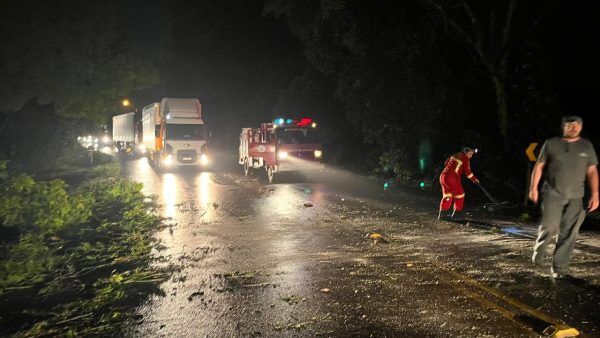 Bombeiros desobstruem rodovia bloqueada por queda de árvore em Teutônia