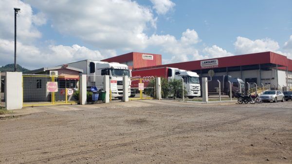 Cooperativa busca parceria com empresas do setor de carnes