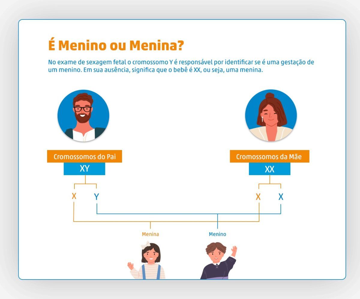 Sexagem fetal: 8 dúvidas mais comuns - Laboratório Unidos