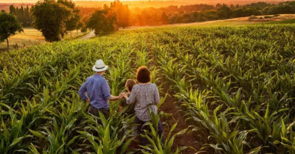 AGROCENTER LANGUIRU: aqui você também encontra o que precisa para a pequena propriedade