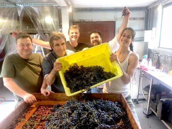 Franceses produzem vinho em Colinas, na Vinícola Vivente