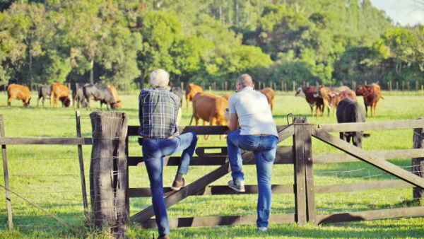 Família De Gasperi  investe em produto Premium