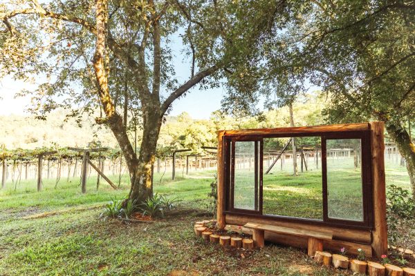 Vinícola projeta o “Jardim de Vinhos” em Cruzeiro do Sul