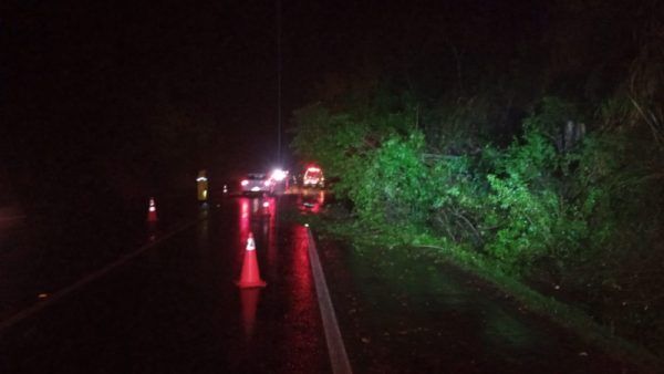 Temporal destelha casas e derruba árvores em Venâncio Aires