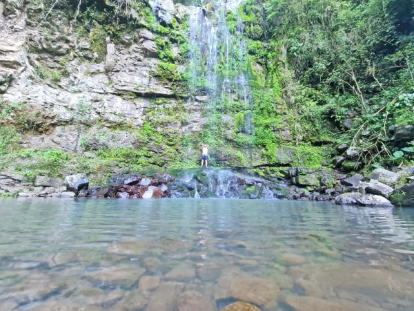 Cascata do Tamanduazinho:  águas claras escondidas em Progresso