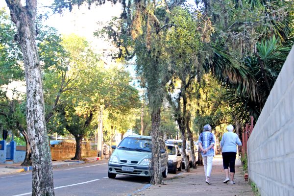 Pesquisa identifica rua Tiradentes como a mais arborizada