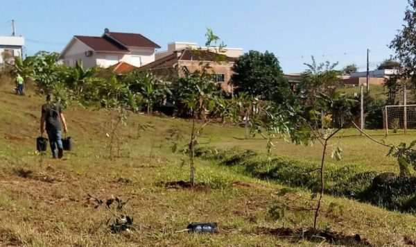 Lajeado planta 50 mudas de árvores frutíferas no São Bento