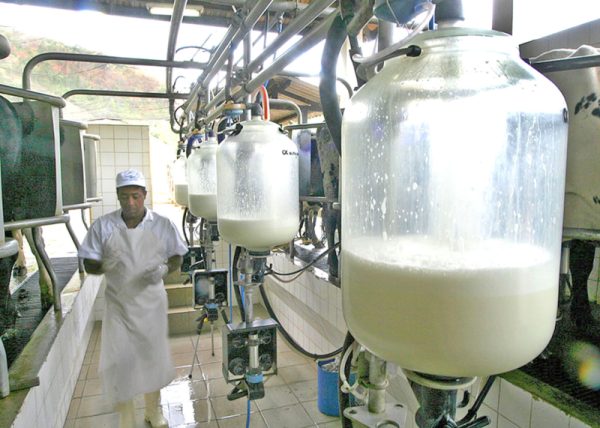 Fundo mantém R$ 30 milhões para o setor leiteiro