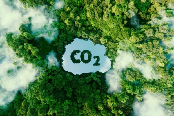 POR UM PLANETA LIMPO: Empresa do Vale colabora com redução de emissão de carbono no mundo