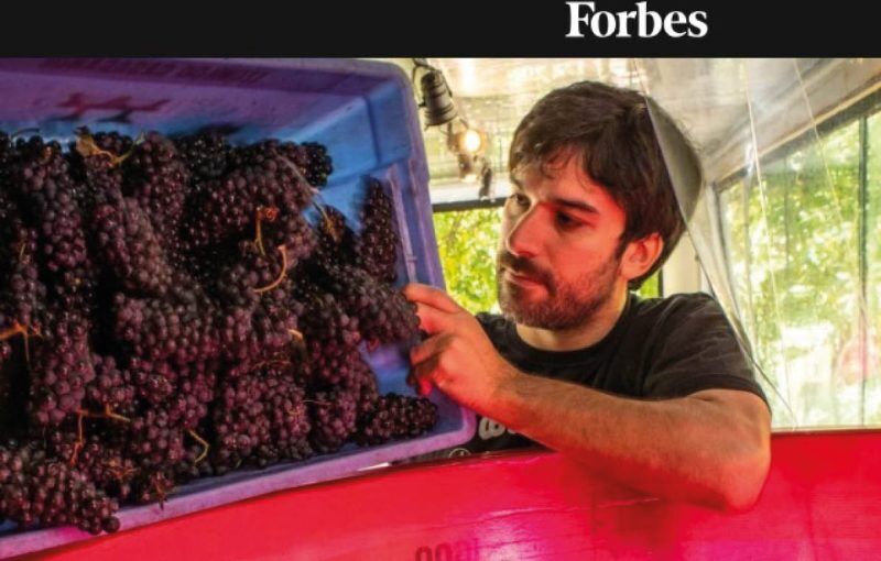 Forbes Brasil destaca Vinícola Vivente