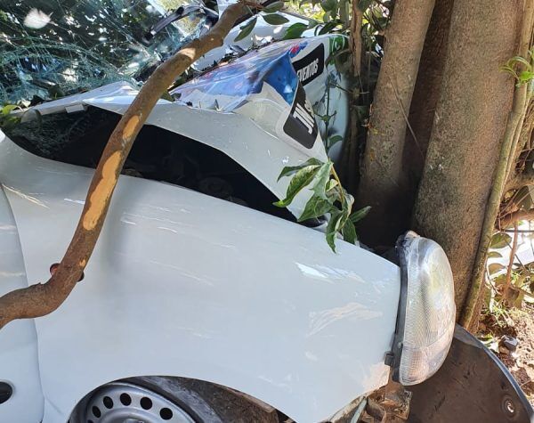 Homem colide carro contra árvore e fica ferido em Estrela