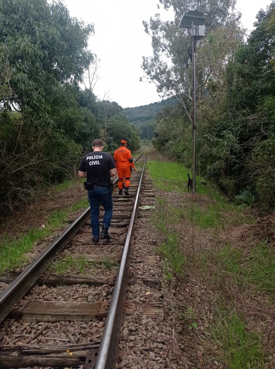Cão farejador auxilia nas buscas por mulher desaparecida em Colinas