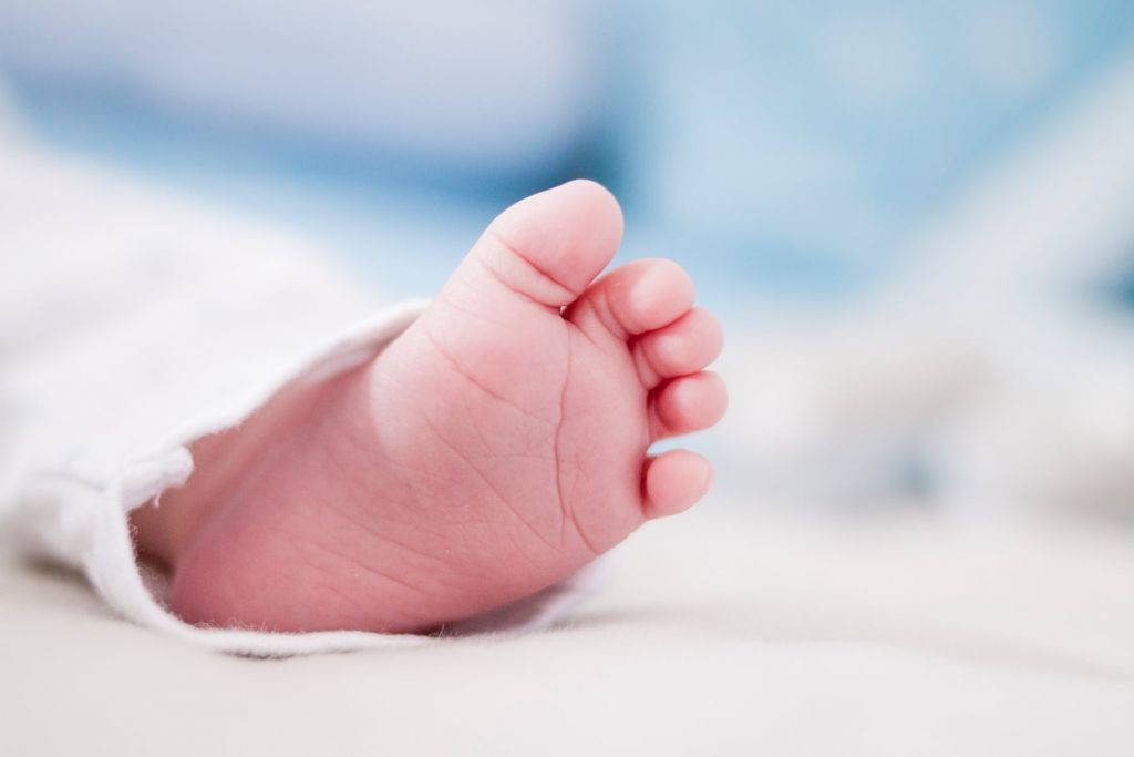Antigos nomes lideram os registros de bebês  nascidos em 2023